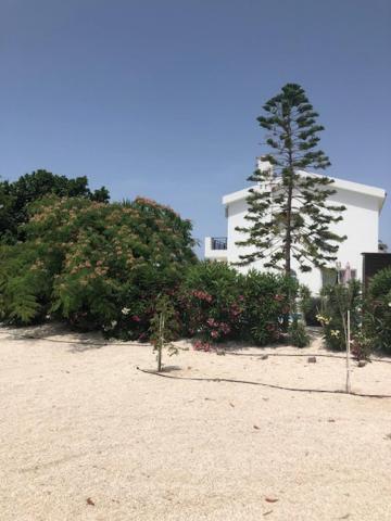 Villa Olivia, קורל ביי מראה חיצוני תמונה