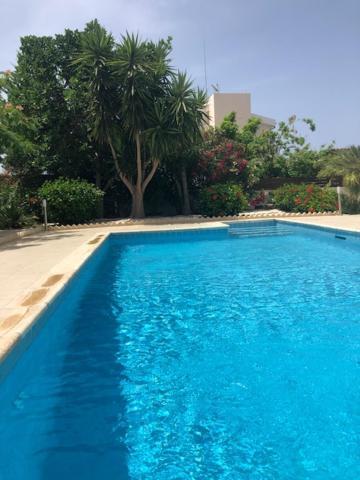 Villa Olivia, קורל ביי מראה חיצוני תמונה