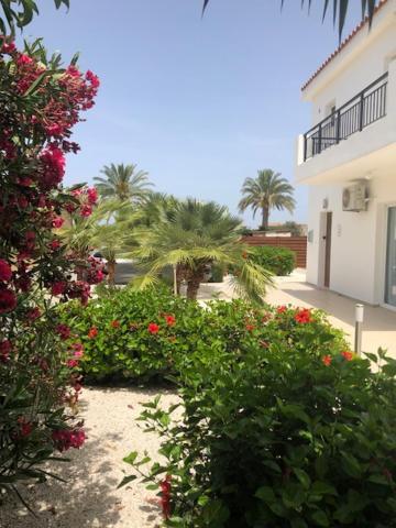Villa Olivia, קורל ביי מראה חיצוני תמונה